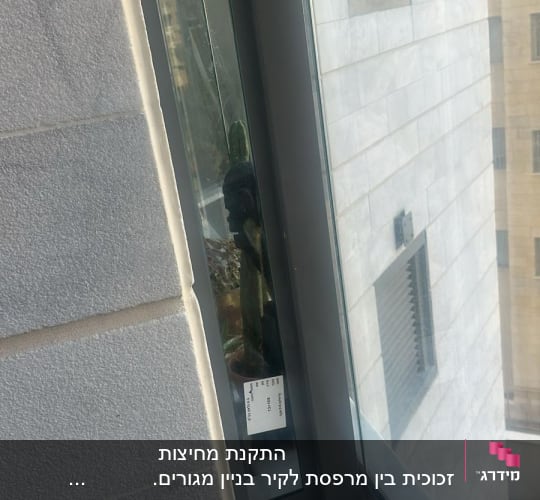 חלון זכוכית עם מסגרת מתכת, צמח בפנים